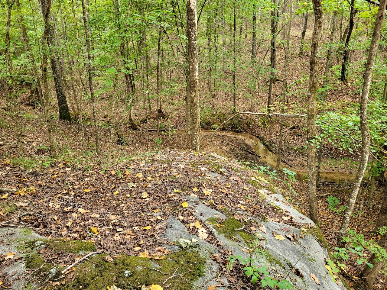 Secluded Woodland Geodome with Panoramic Views & Private Trails in Milledgeville, Georgia
