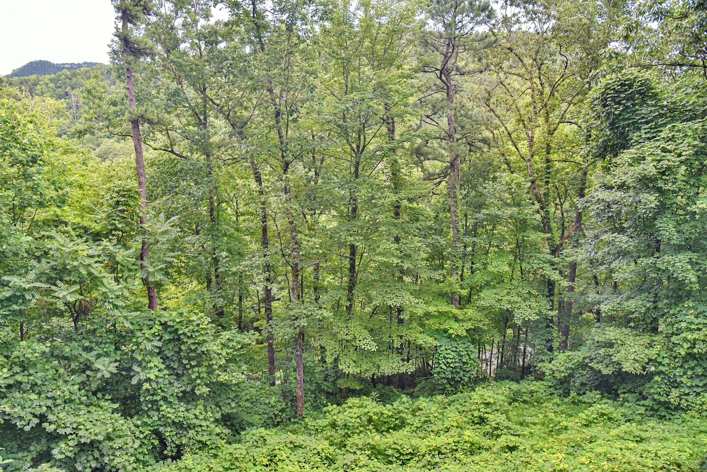 Stunning Mountain Cabin with Hot Tub and Game Room Near Asheville in Old Fort, NC