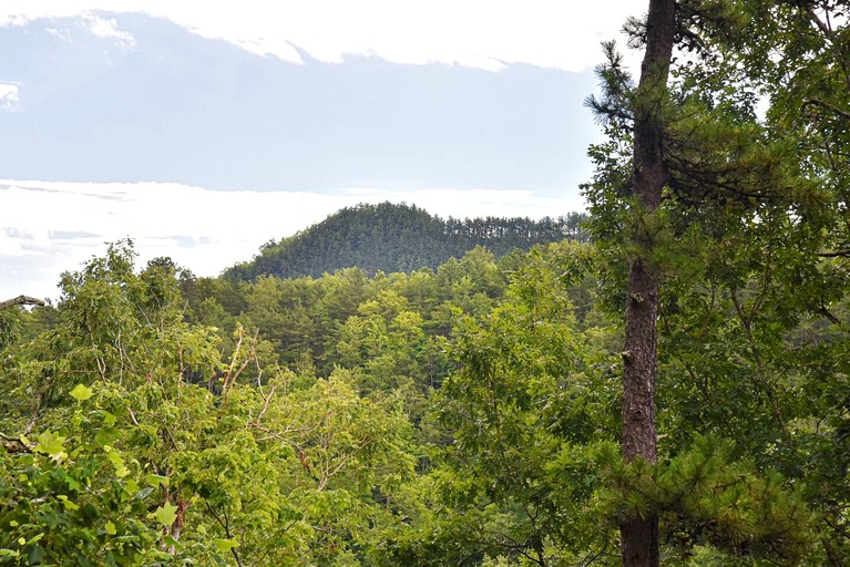 Cabins (United States of America, Old Fort, North Carolina)
