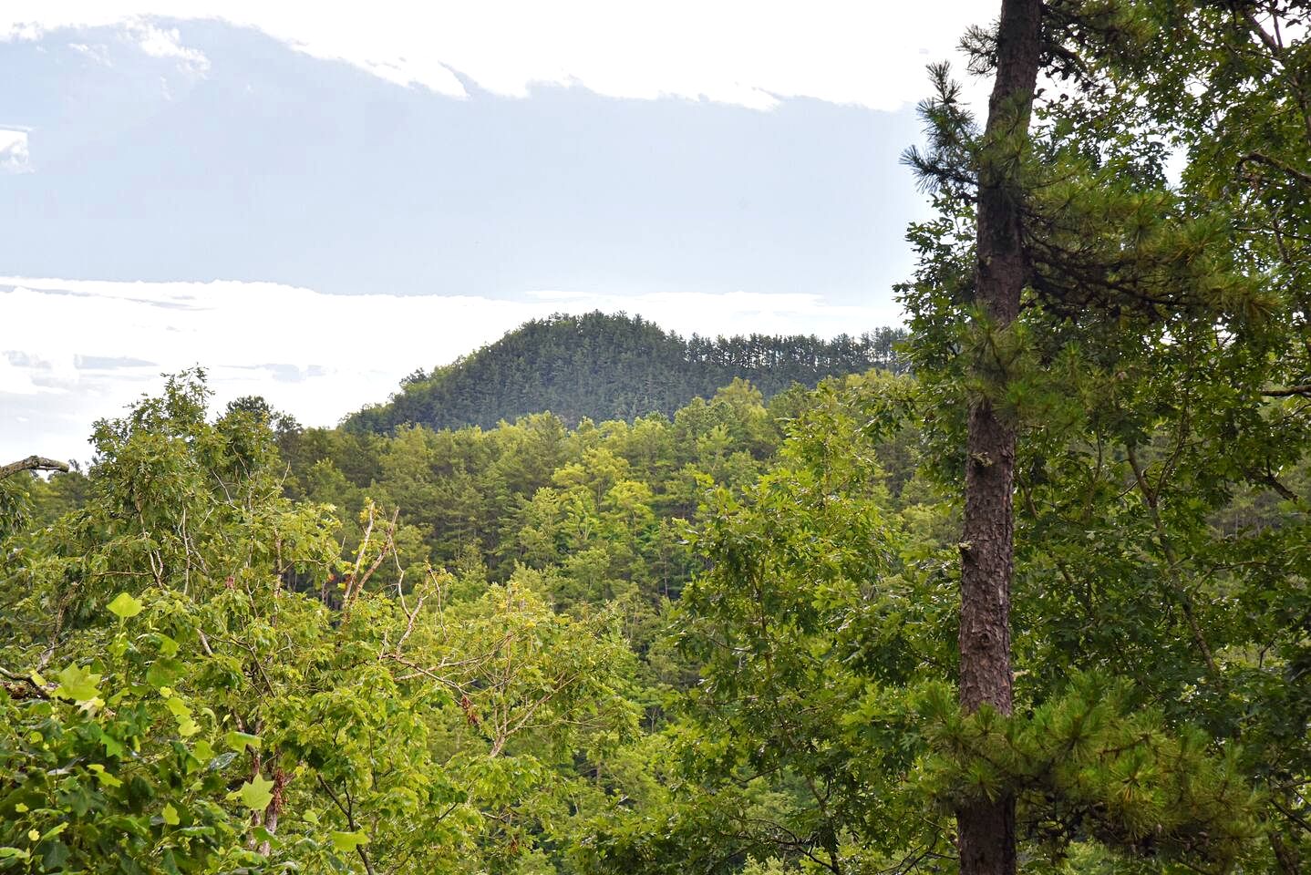 Stunning Mountain Cabin with Hot Tub and Game Room Near Asheville in Old Fort, NC