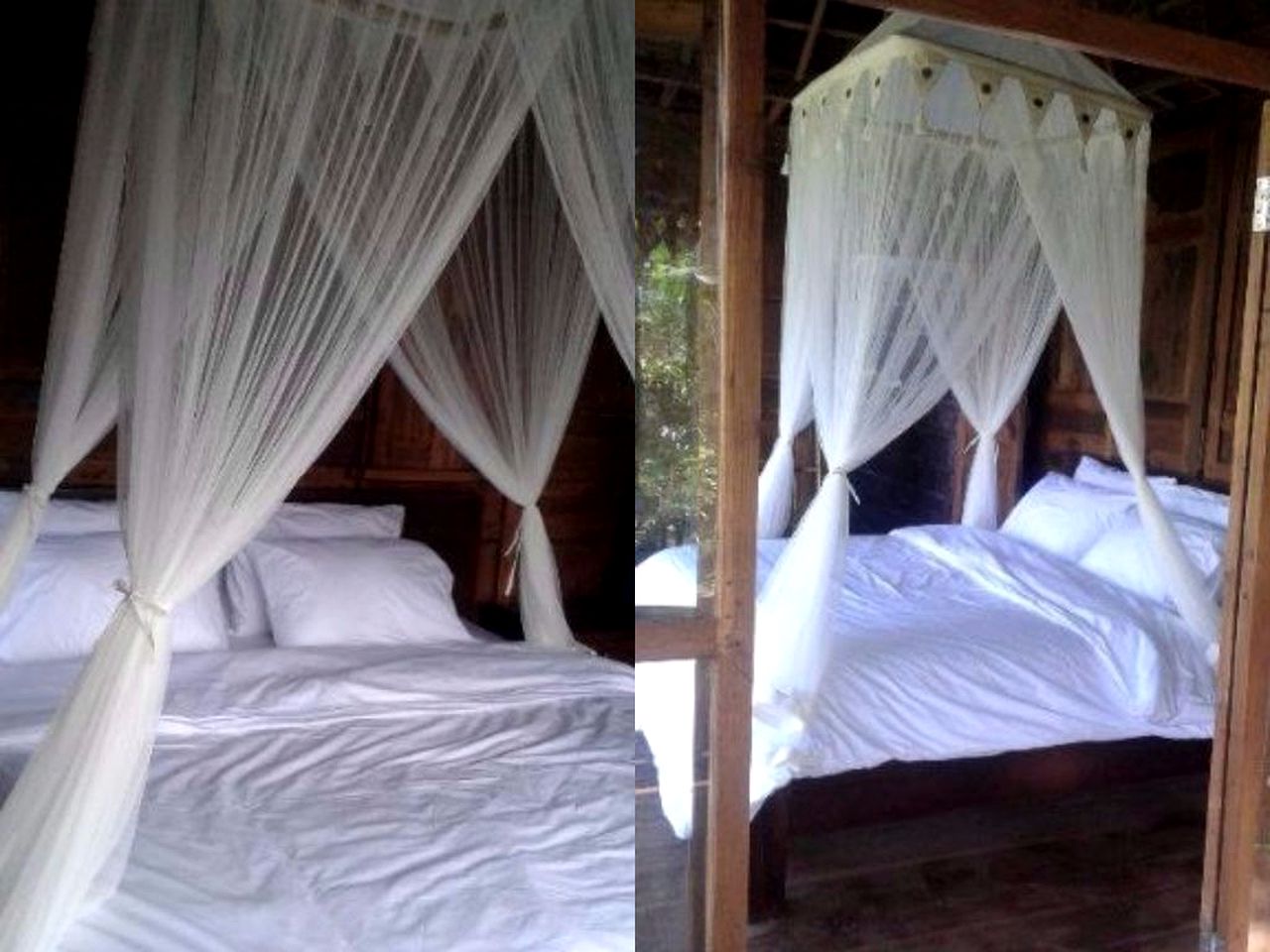 Unique Cabin Rental Surrounded by Coffee and Mangosteen Gardens in Western Bali