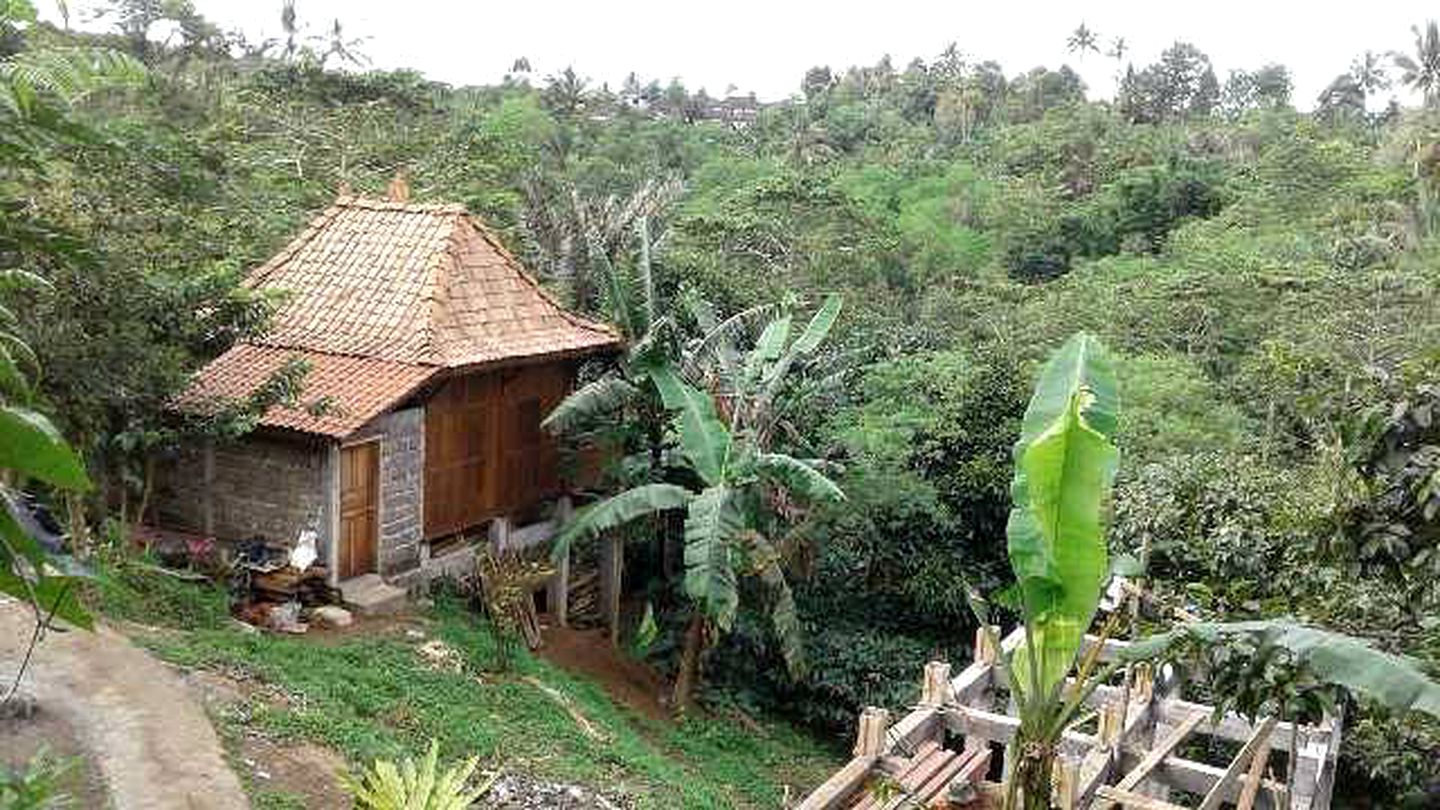 Unique Cabin Rental Surrounded by Coffee and Mangosteen Gardens in Western Bali