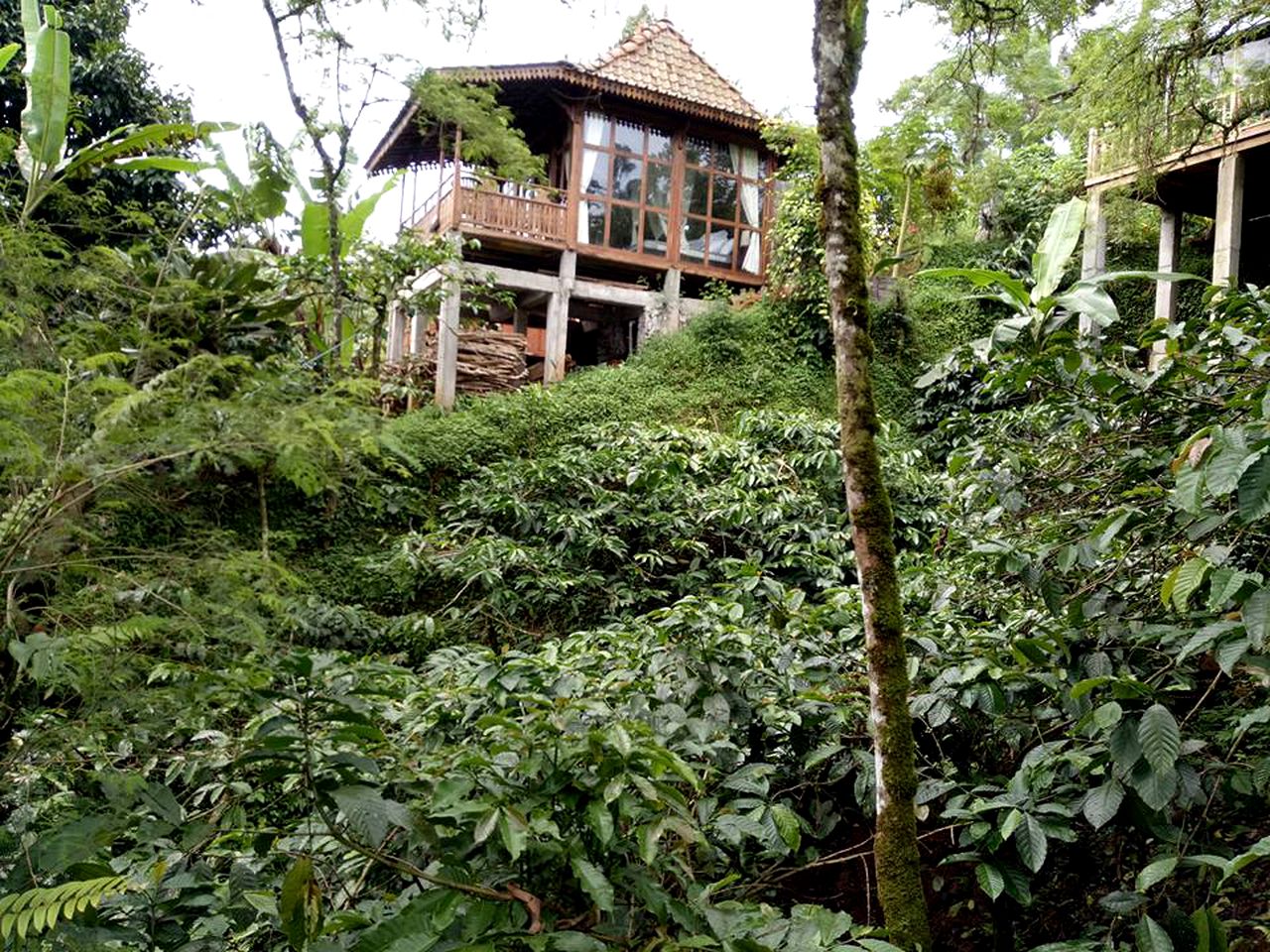 Unique Cabin Rental Surrounded by Coffee and Mangosteen Gardens in Western Bali