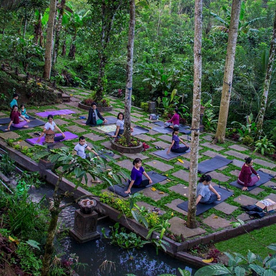 Unique Cabin Rental Surrounded by Coffee and Mangosteen Gardens in Western Bali