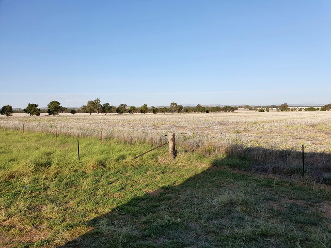 Tiny Houses (Australia, Canowindra, New South Wales)