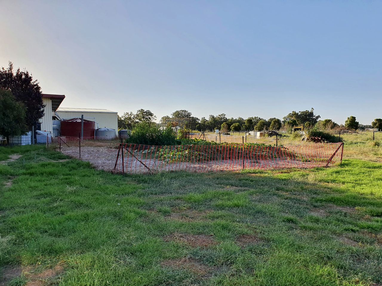 Charming Tiny Home on a Farm for a Romantic Getaway in NSW