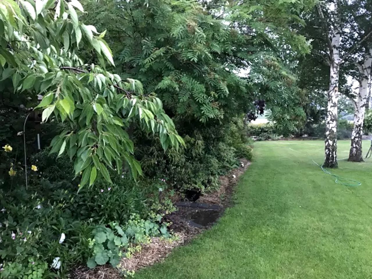 Mountain View Bed and Breakfast Accommodation in Kurow, New Zealand