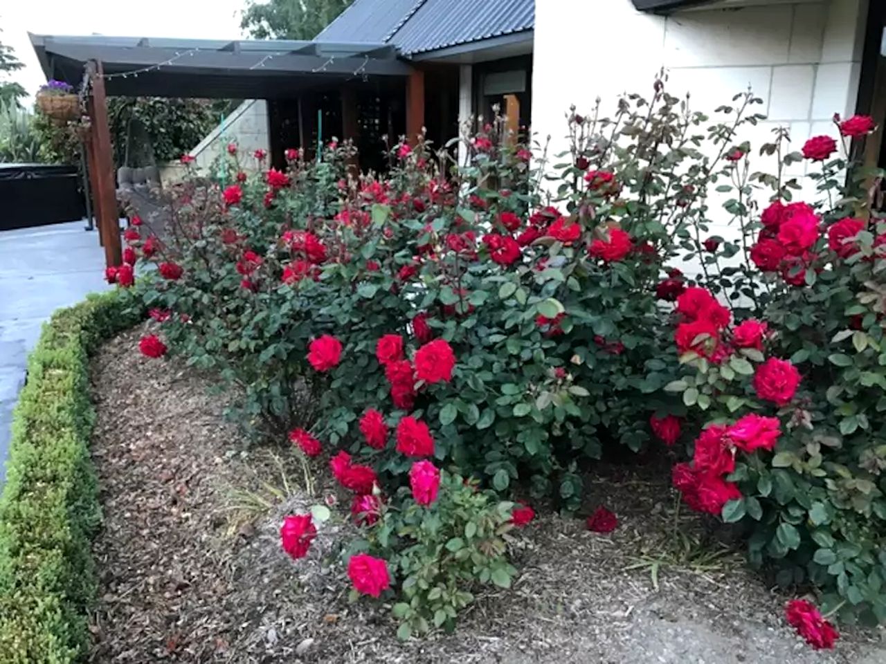 Mountain View Bed and Breakfast Accommodation in Kurow, New Zealand