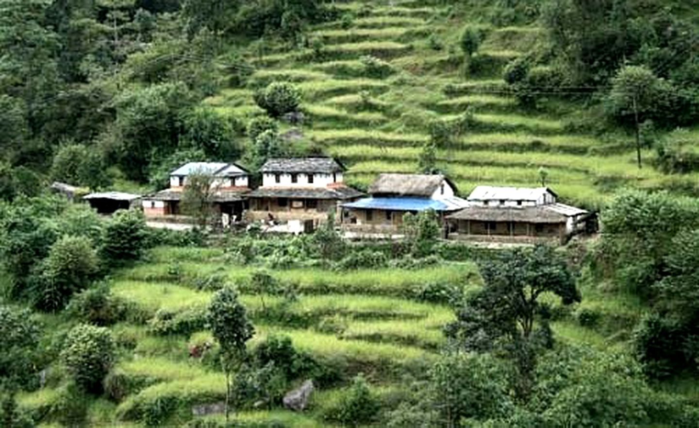 Bamboo Cottages and Rafting Camp in the Himalayas