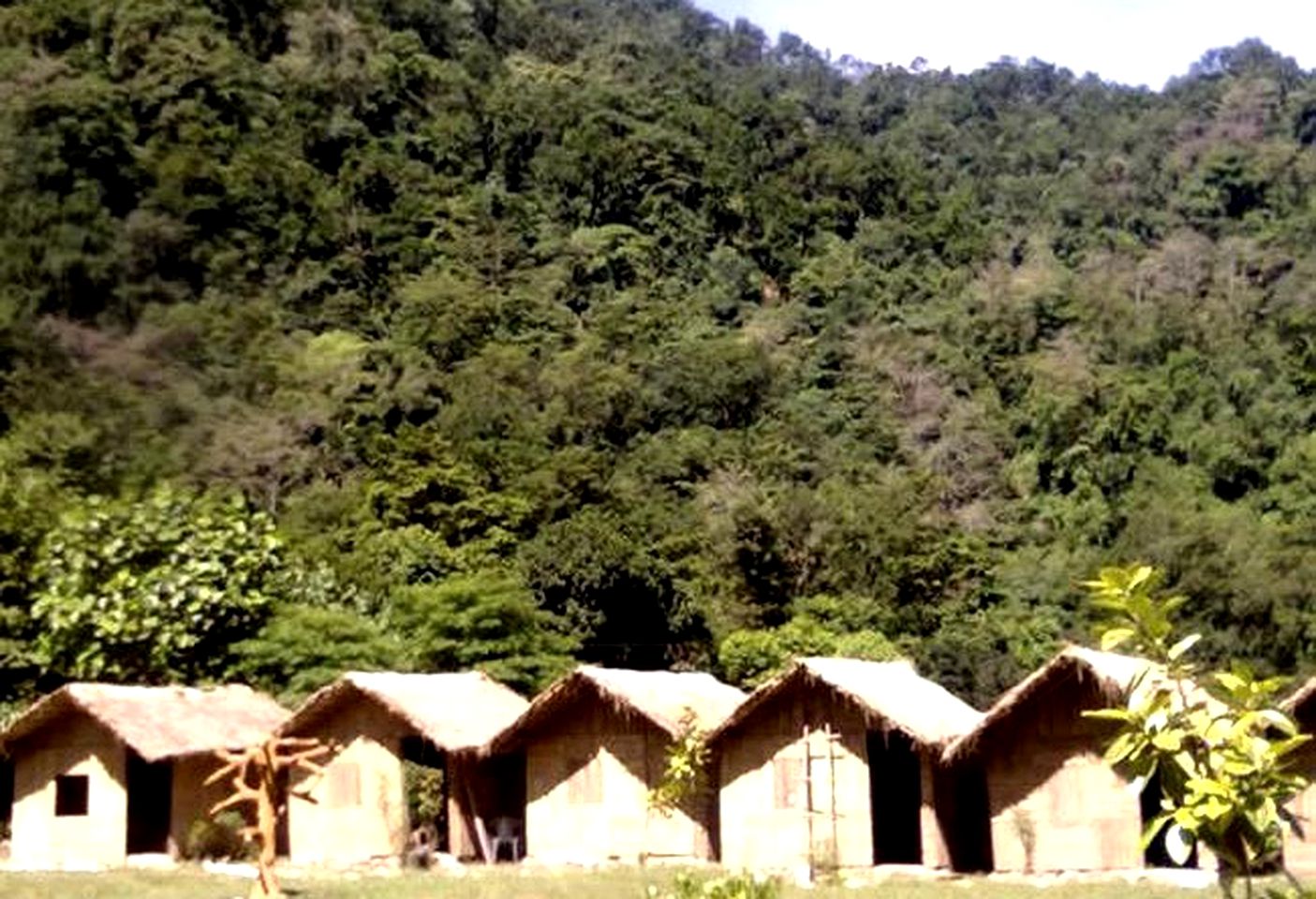 Bamboo Cottages and Rafting Camp in the Himalayas