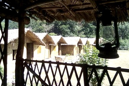 undefined photo 3