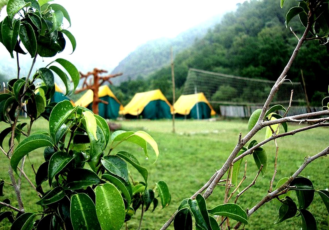 Bamboo Cottages and Rafting Camp in the Himalayas