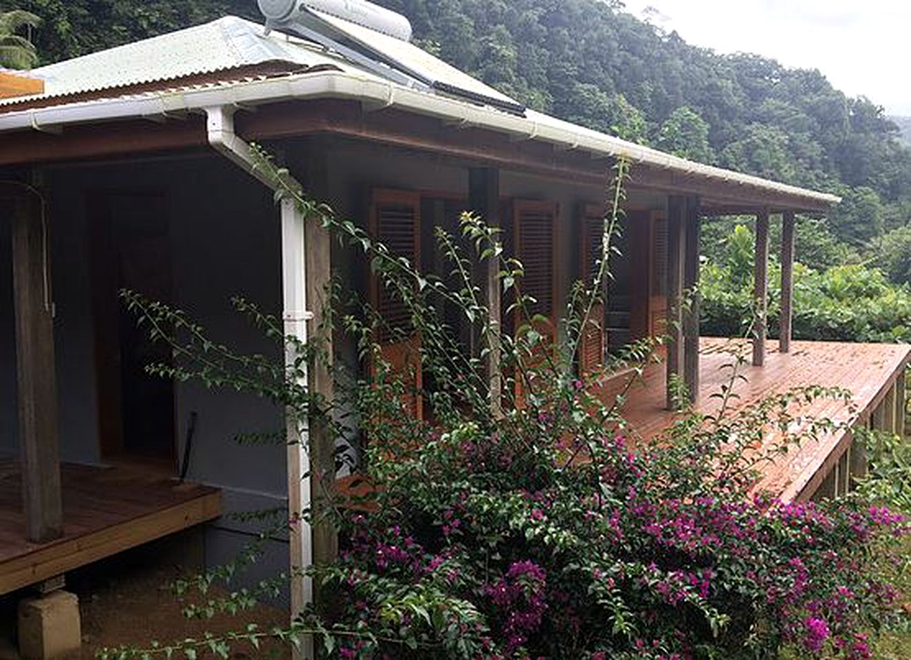 Stunning Villa Rental in the Jungle of Rosalie in Saint David, Dominica