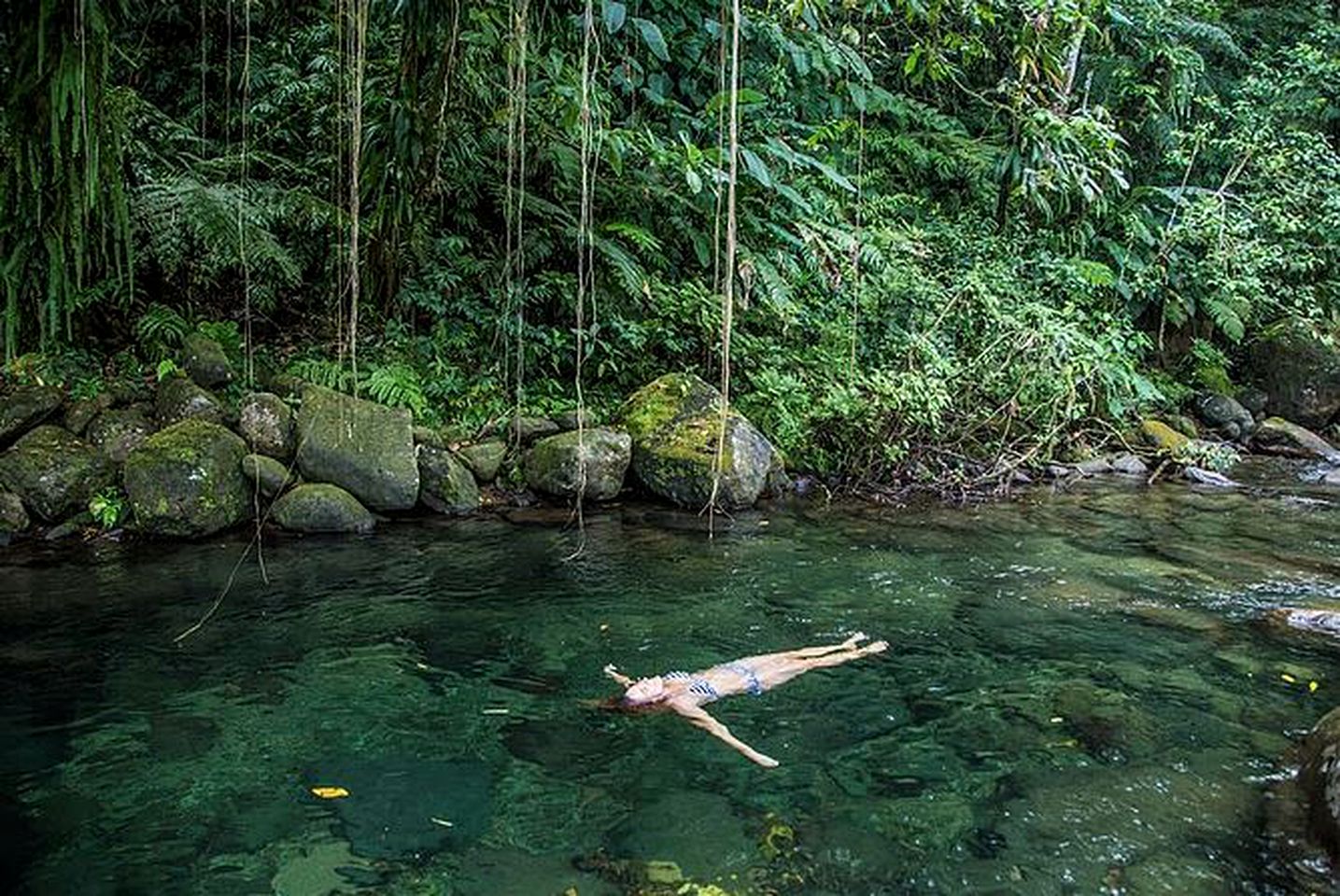 Stunning Villa Rental in the Jungle of Rosalie in Saint David, Dominica