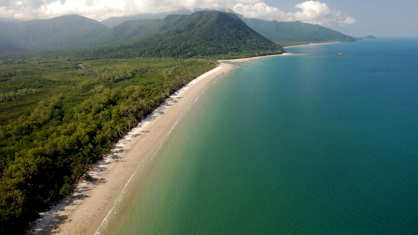 Tropical Suite Rental in Daintree Rainforest with Beautiful Views in Queensland