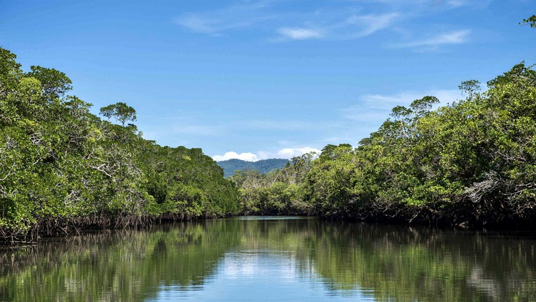 Tropical Suite Rental in Daintree Rainforest with Beautiful Views in Queensland | Nature Lodges (Diwan, Queensland, Australia)