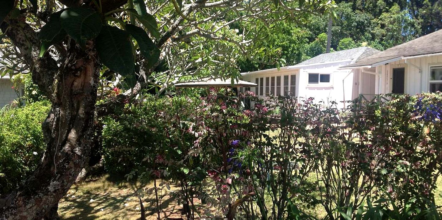 Charming Wheelchair Accessible Cottage Rental in Maui, Hawaii