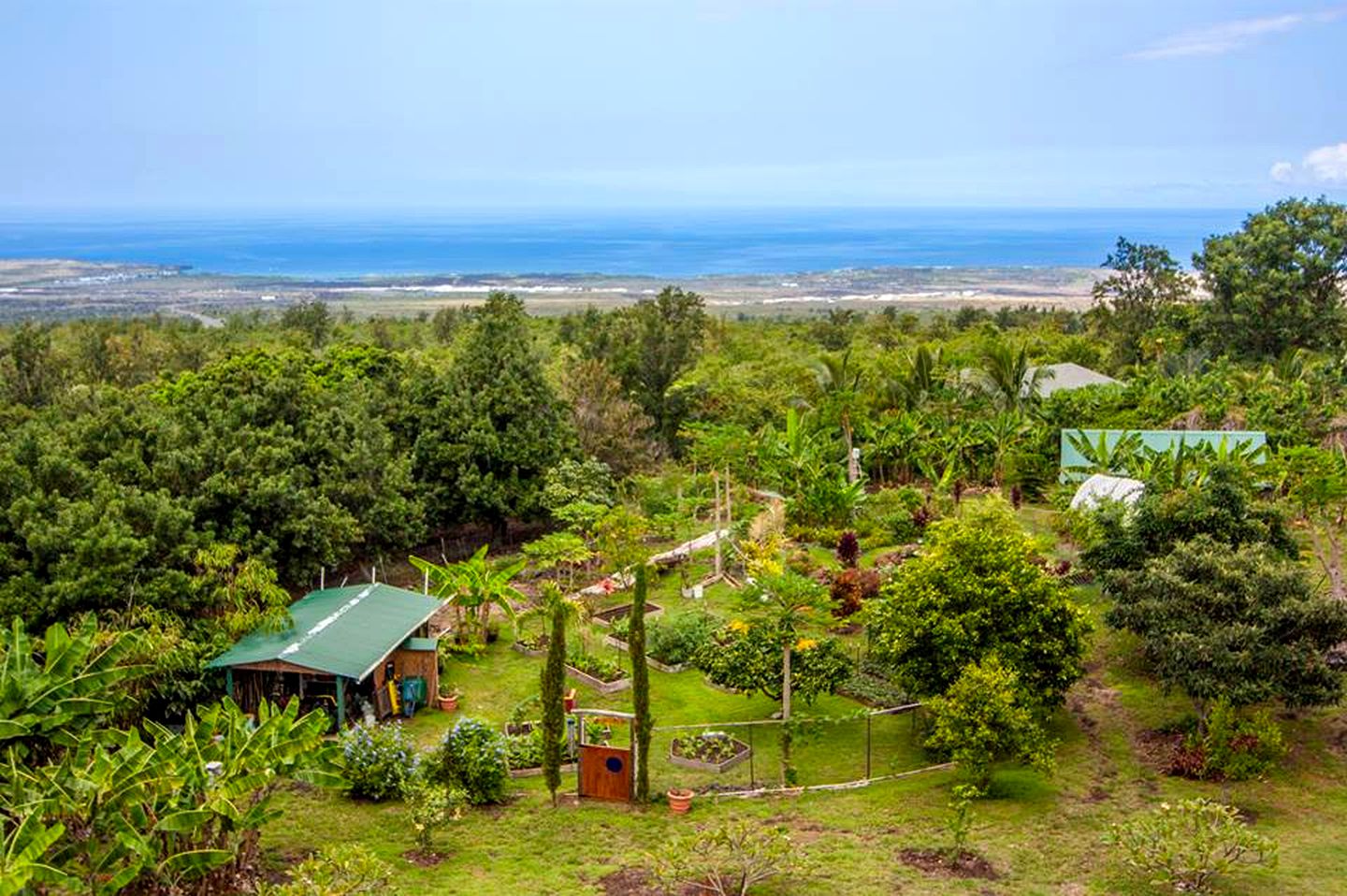 Romantic Suite Rental with a Fantastic Pool for a Getaway near Kailua-Kona in Hawaii