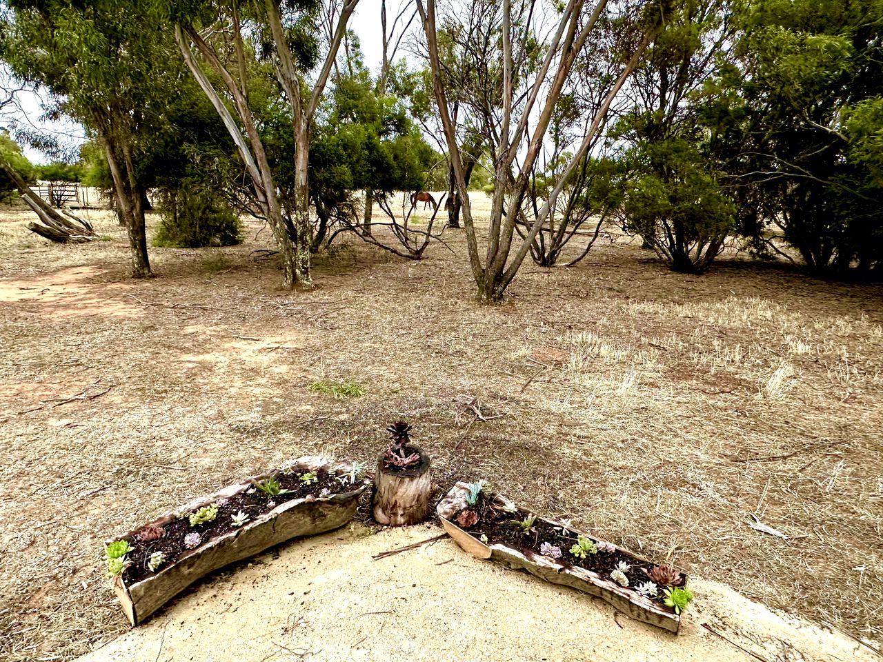 Farmstead Freedom: Tiny House Getaway Far from the City in Banyena