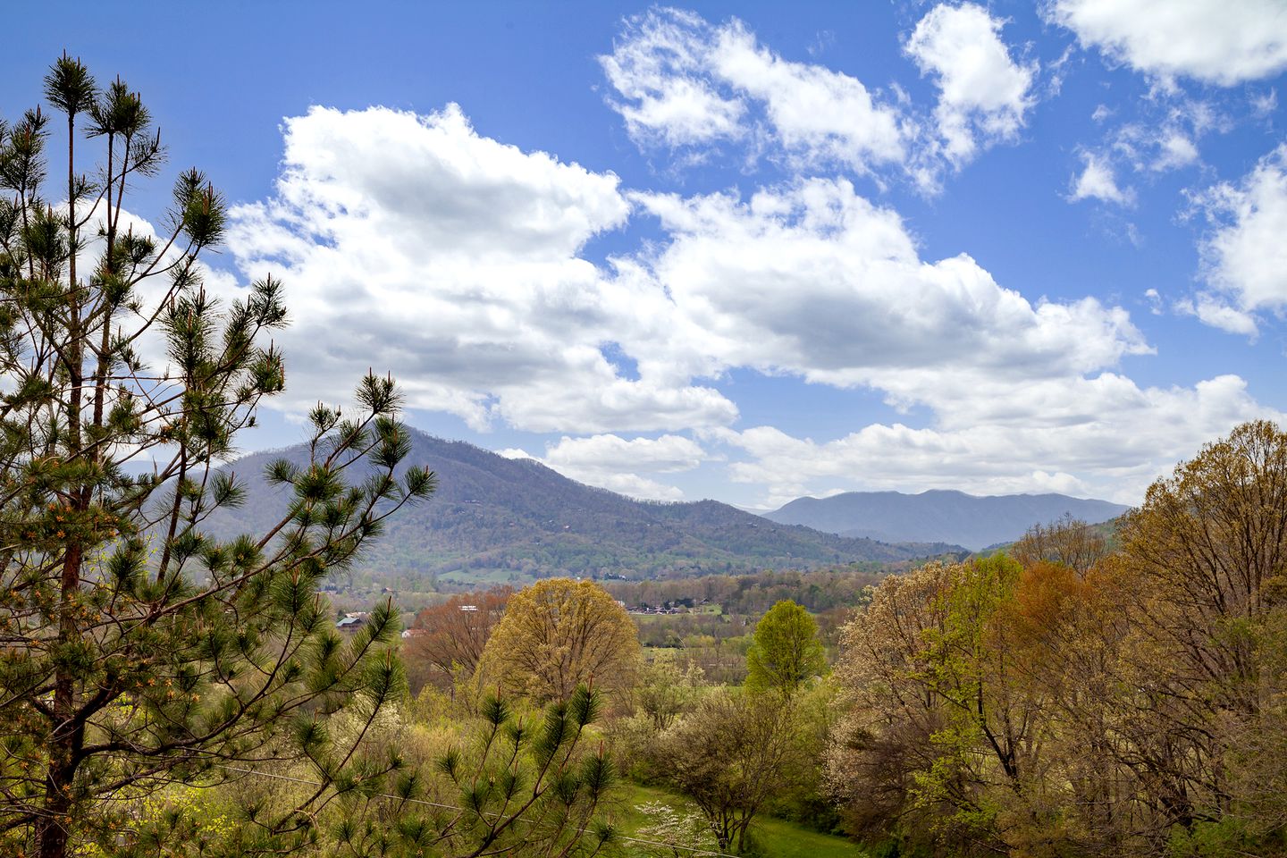 Stunning Pet-Friendly Cabin in Sevierville, Georgia, For Dreamy Escapes to Nature