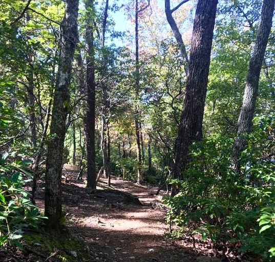 Nature Lodges (Dahlonega, Georgia, United States)