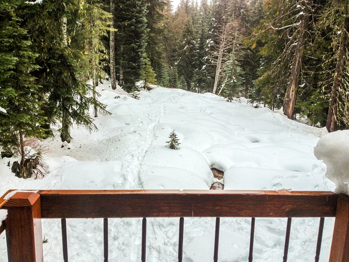 Cabins (Government Camp, Oregon, United States)