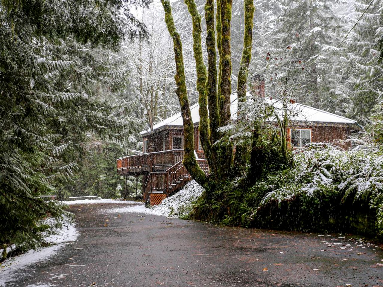 Creekside Cabin Retreat in Rhododendron, Oregon