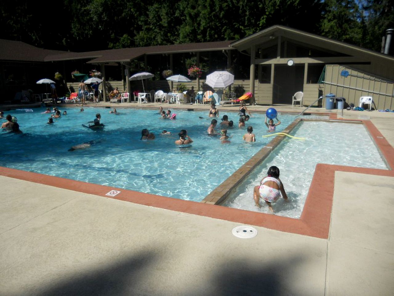 Rustic Cabin with a Pool and Hot Tub on Harstine Island in Washington
