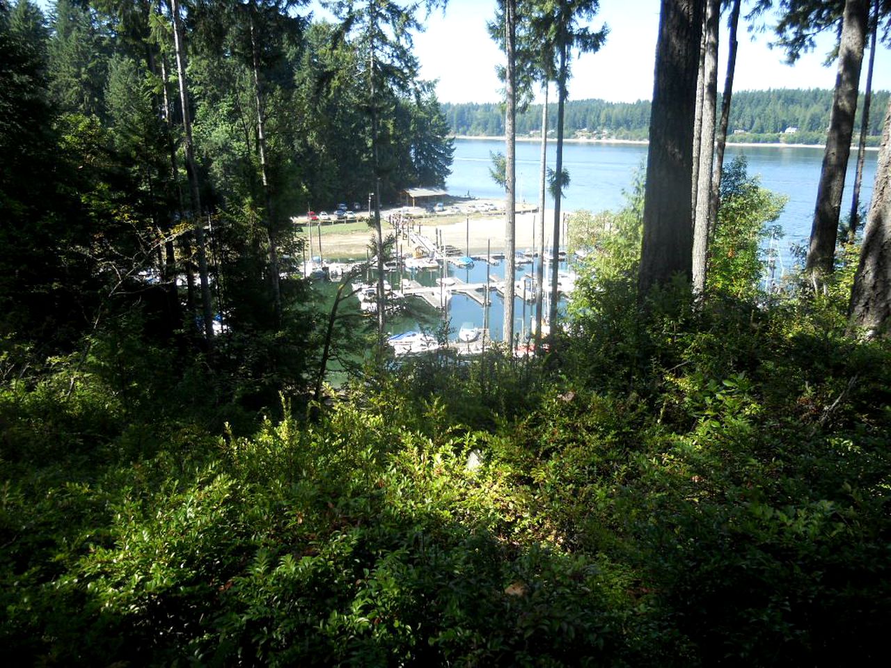 Rustic Cabin with a Pool and Hot Tub on Harstine Island in Washington