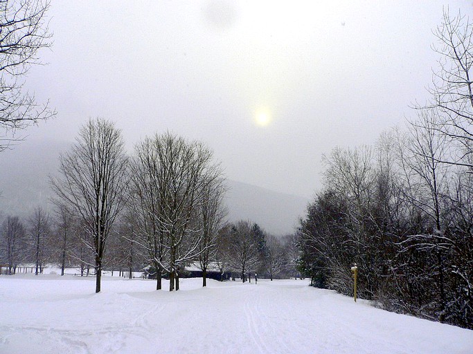 Barns (Mount Tremper, New York, United States)