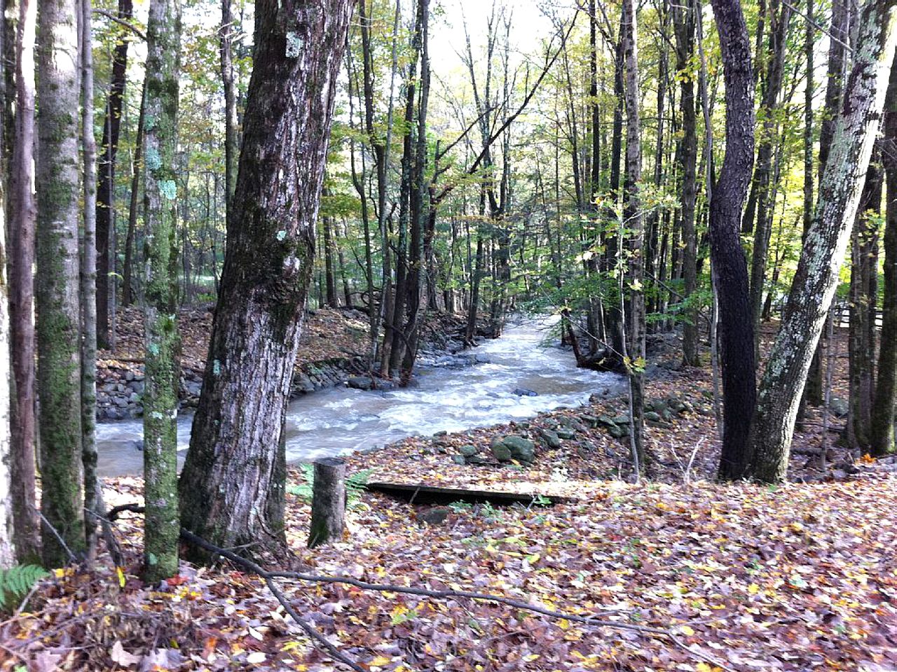 Romantic Streamside Barn Rental with Hot Tub in Heart of Woodstock, New York