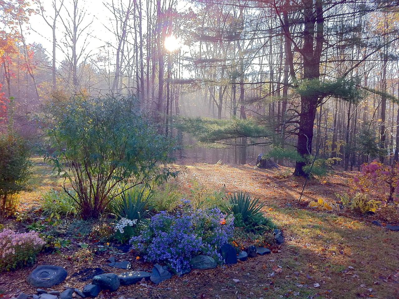 Romantic Streamside Barn Rental with Hot Tub in Heart of Woodstock, New York