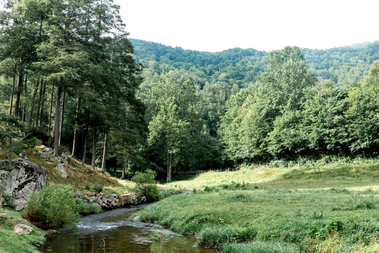 Incredible Secluded Barn with Hot-tub and Petting Zoo in Sugar Grove, North Carolina