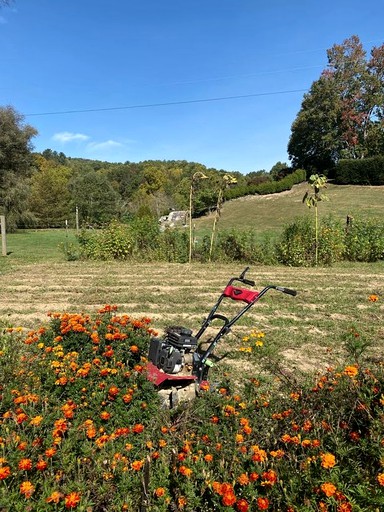 Barns (United States of America, Sugar Grove, North Carolina)