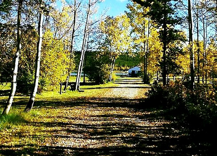 Cabins (Chilanko Forks, British Columbia, Canada)