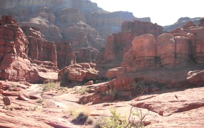 undefined photo 4