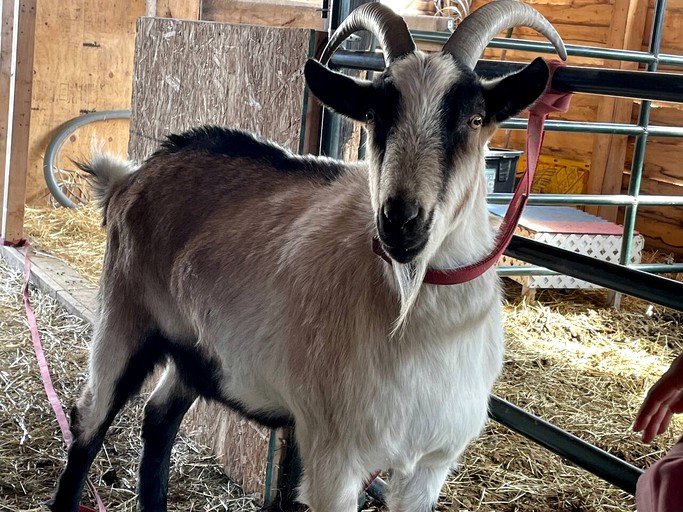 Vacation Rentals (United States of America, Houston, Alaska)