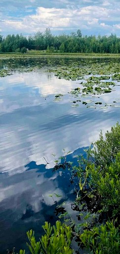 Vacation Rentals (United States of America, Houston, Alaska)