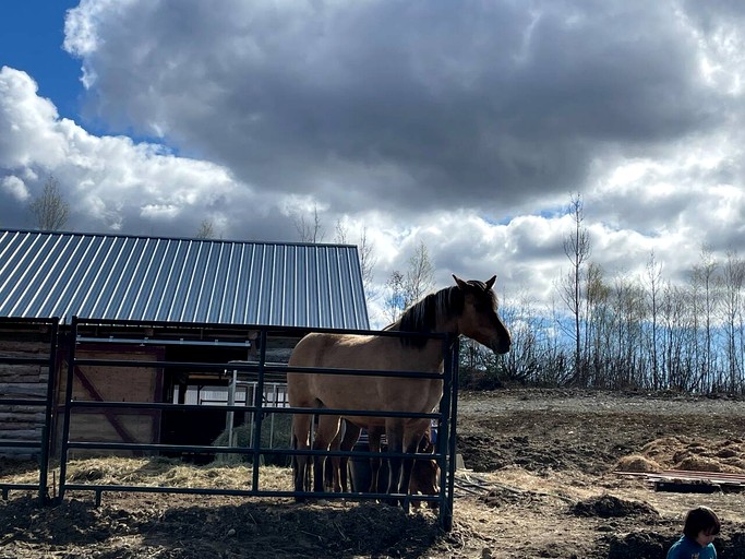 Vacation Rentals (United States of America, Houston, Alaska)