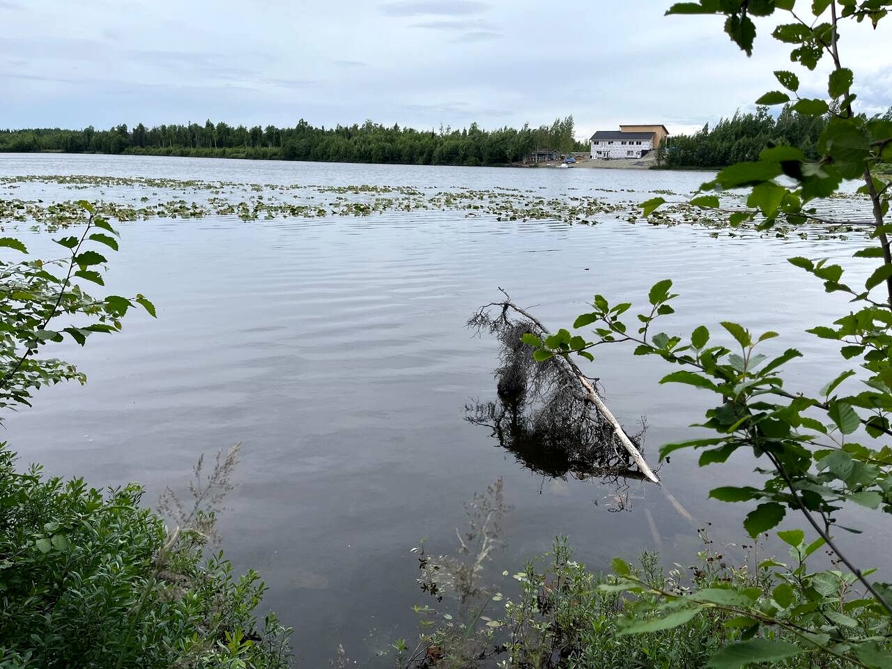 Relaxing Rustic Cabin Retreat, Dry Cabin Experience And Year Round Fishing Fun in Houston, Alaska