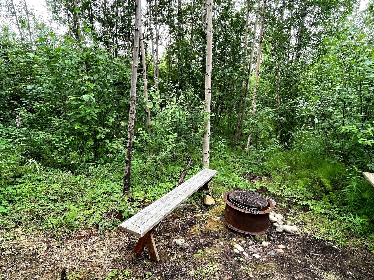 Relaxing Rustic Cabin Retreat, Dry Cabin Experience And Year Round Fishing Fun in Houston, Alaska