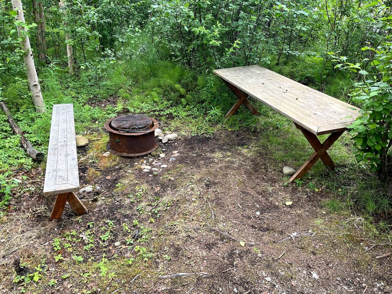 Relaxing Rustic Cabin Retreat, Dry Cabin Experience And Year Round Fishing Fun in Houston, Alaska