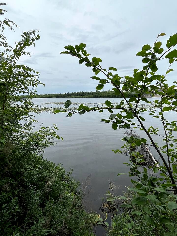 Relaxing Rustic Cabin Retreat, Dry Cabin Experience And Year Round Fishing Fun in Houston, Alaska