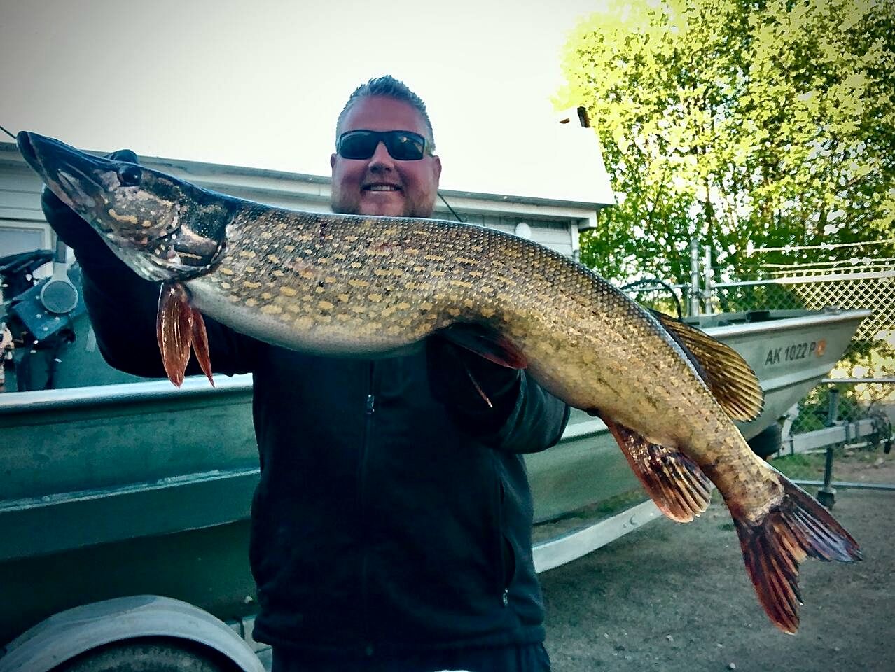 Relaxing Rustic Cabin Retreat, Dry Cabin Experience And Year Round Fishing Fun in Houston, Alaska