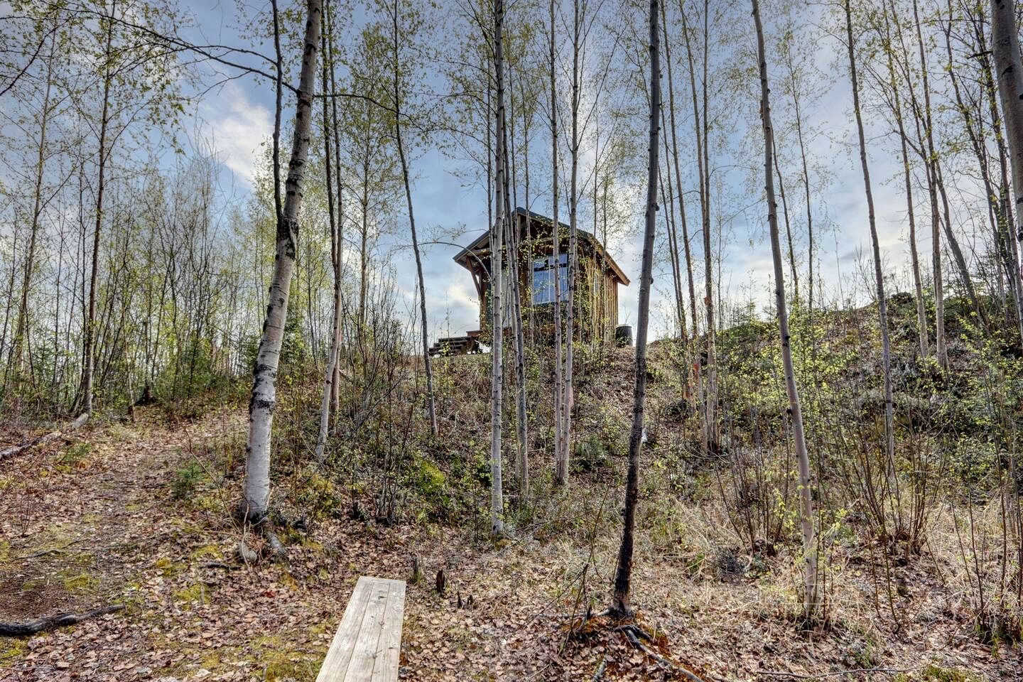 Relaxing Rustic Cabin Retreat, Dry Cabin Experience And Year Round Fishing Fun in Houston, Alaska