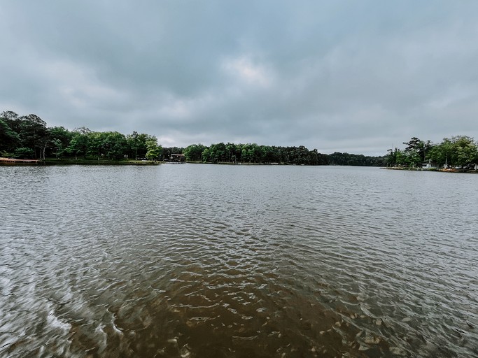 Domes (United States of America, Cedar Bluff, Alabama)
