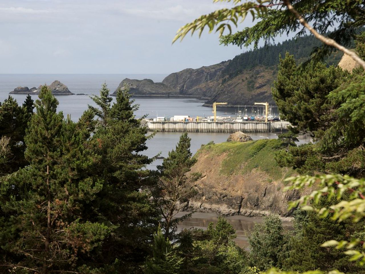 Stunning Cabin Rental with Incredible Ocean Views along the Oregon Coast