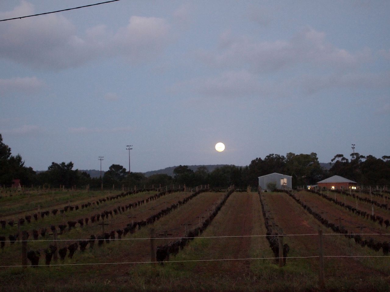 Luxury Accommodations on the Swan River in Baskerville, Western Australia