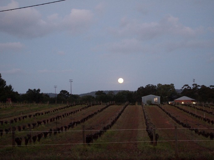 Cottages (Baskerville, Western Australia, Australia)