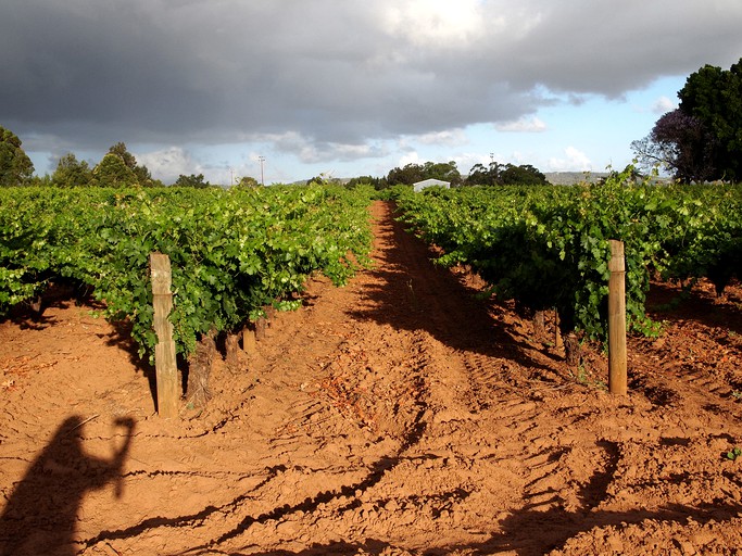 Cottages (Baskerville, Western Australia, Australia)